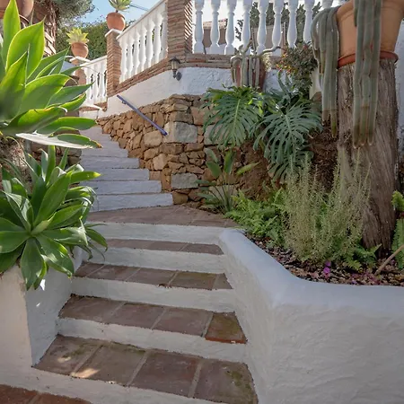 Paco Romo Nerja